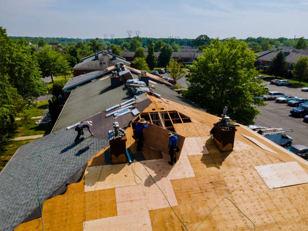 Best Commercial Roofing Services  in Round Lake Heights, IL