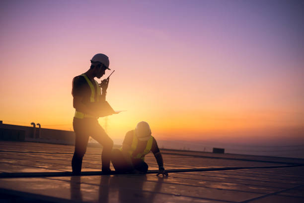 Roof Gutter Cleaning in Round Lake Heights, IL