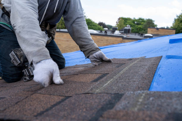 Best Emergency Roof Repair  in Round Lake Heights, IL