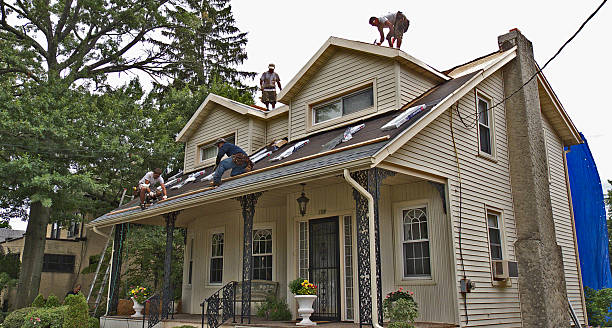Best Roof Maintenance Services  in Round Lake Heights, IL
