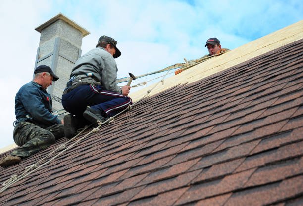 Best Storm Damage Roof Repair  in Round Lake Heights, IL