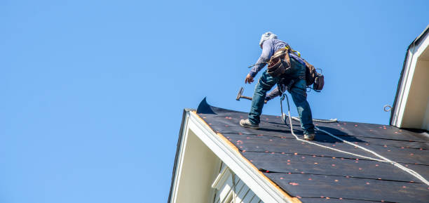 Best Roof Gutter Cleaning  in Round Lake Heights, IL